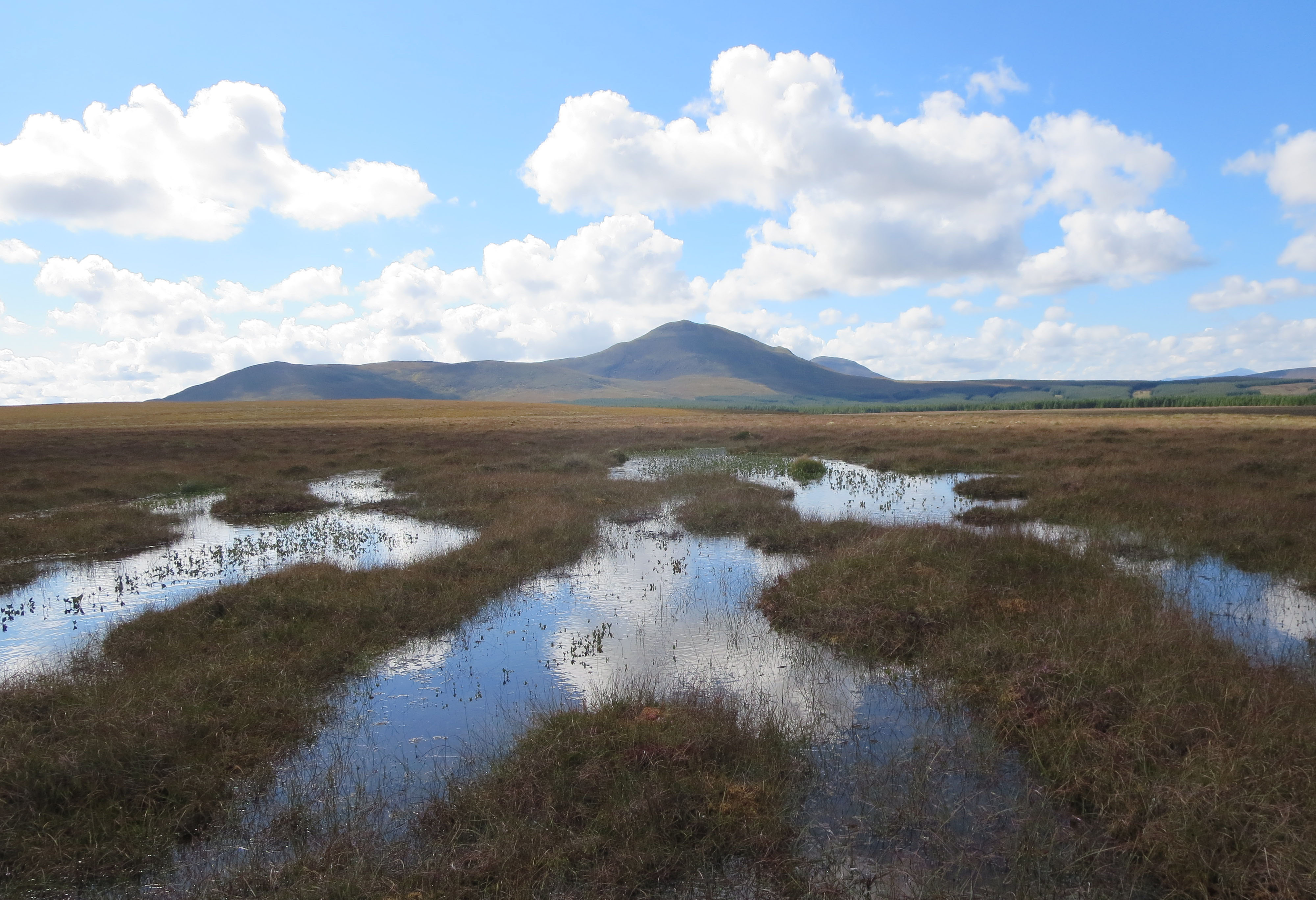 University awarded £986,000 grant to expand peatland research
