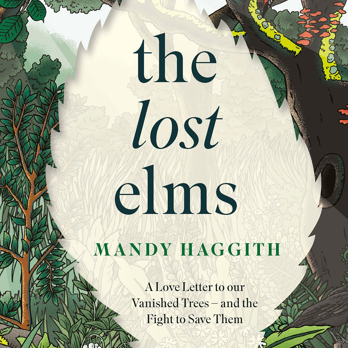 Pic of book cover called The Lost Elms