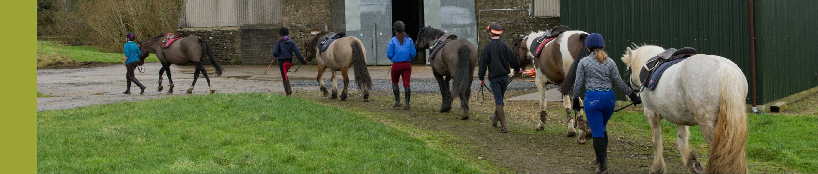 Students with horses Students with horses