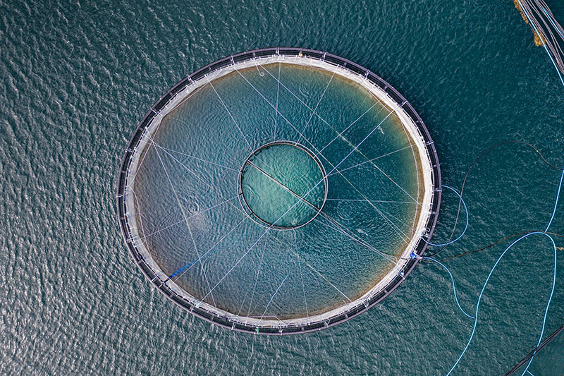 aquaculture pod