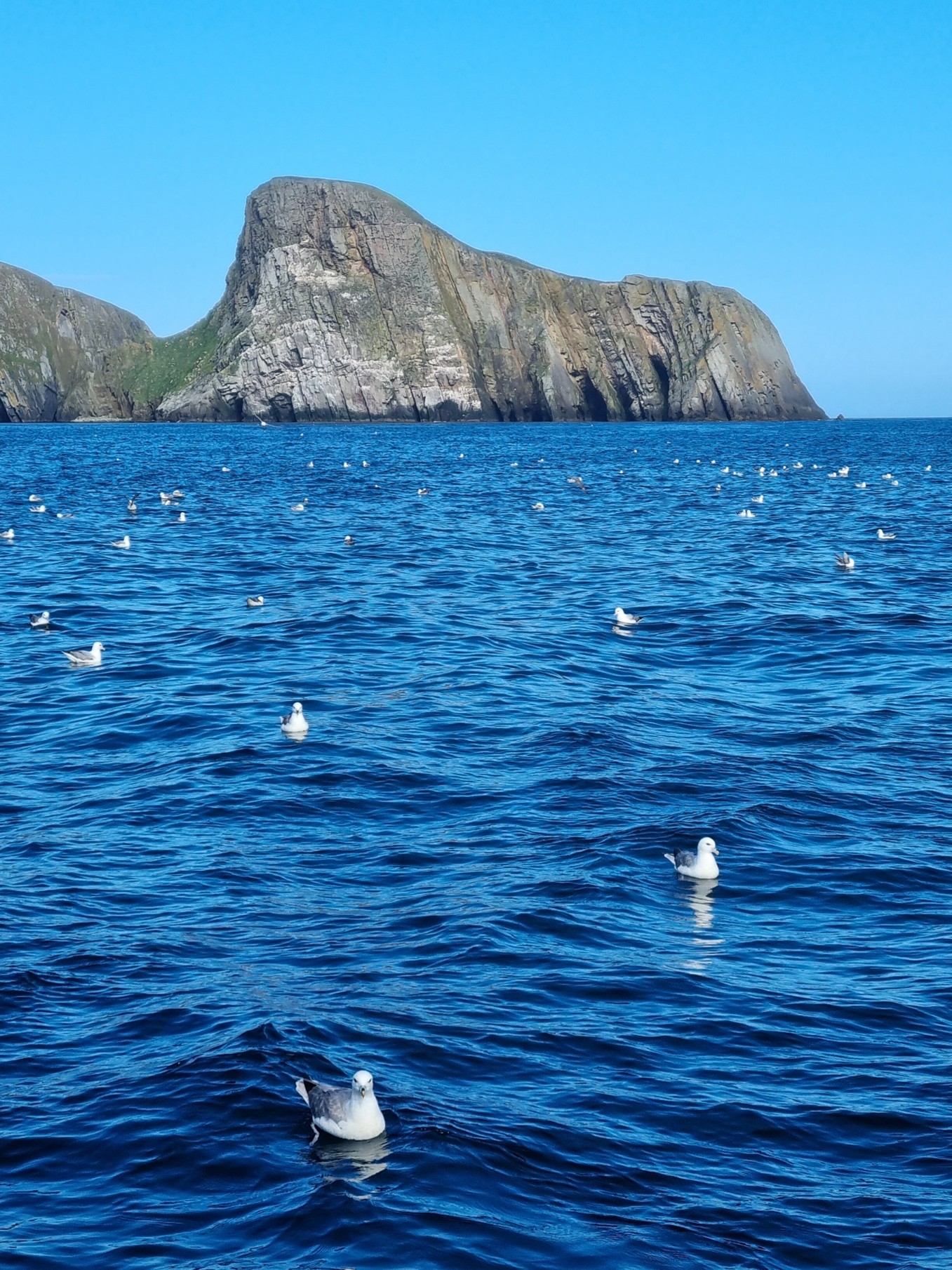 UHI Shetland Report Highlights Role of Local Data in Fair Isle DR MPA Predictive Modelling
