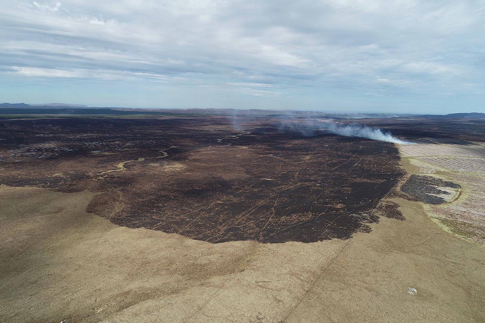 A new study was launched to explore the impact of a wildfire on peatland in Caithness and Sutherland. Peatlands are renowned for their ability to soak up carbon dioxide from the atmosphere, to promote biodiversity and to provide high quality water.
