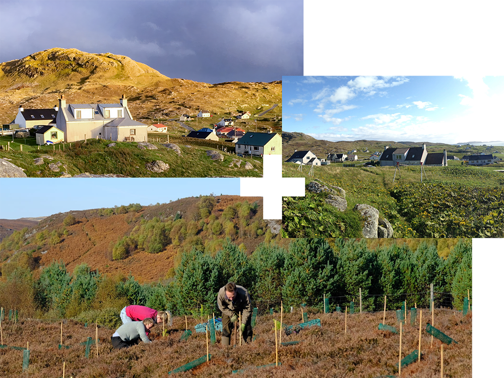 Small community in the hills | People planting trees | Small cluster of houses in a scenic environment