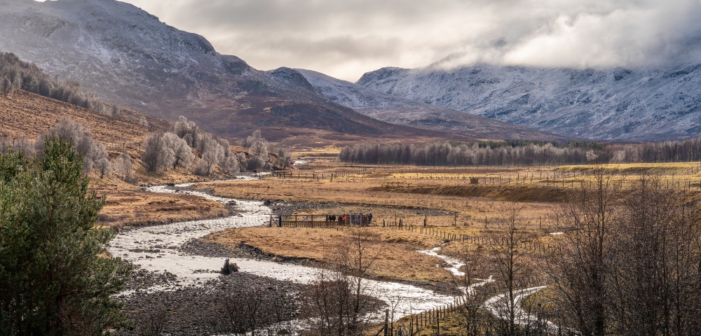 Scenic view of a river and snowy mountains Scenic view of a river and snowy mountains