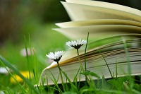 An open book on some grass