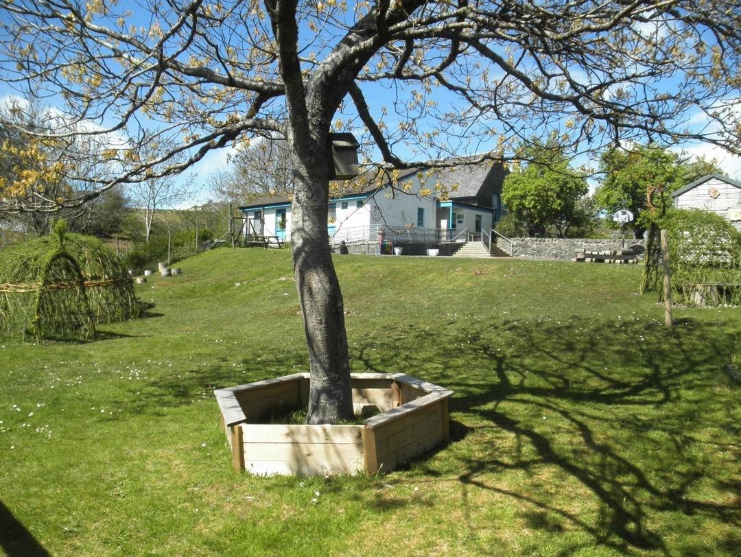 Lochdon primary, with tree in grounds