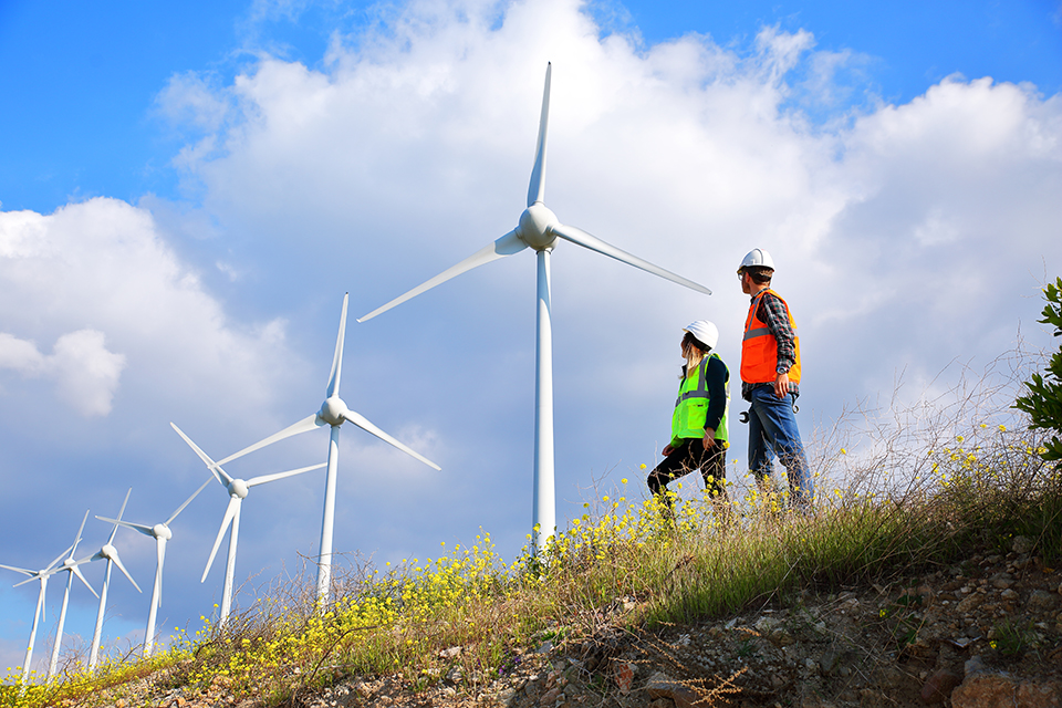 Two people looking at a wind farm
