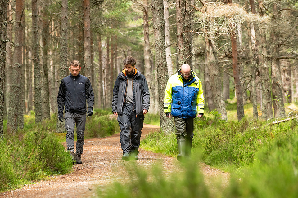 Three people walking through a forest Three people walking through a forest