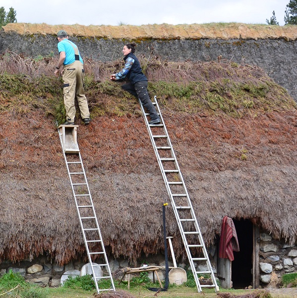 Two people up ladders on a thatched roof