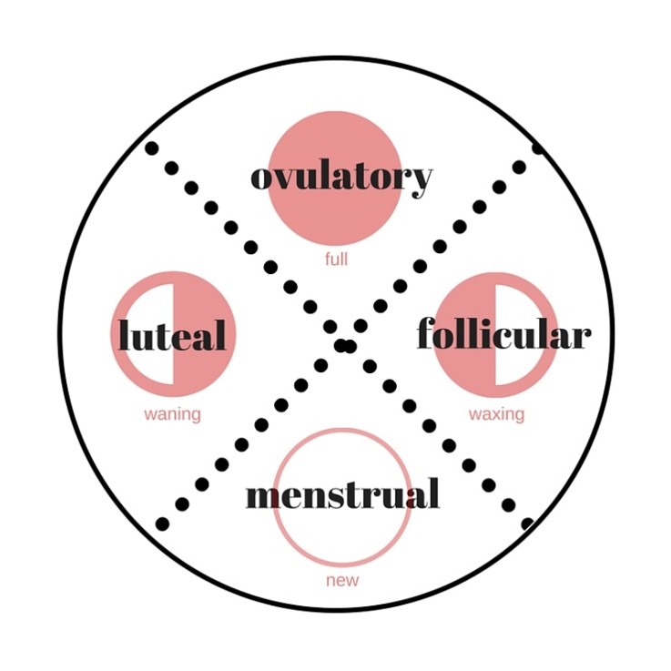 A circle divided into four sections, detailing ovulatory, follicular, menstrual and luteal A circle divided into four sections, detailing ovulatory, follicular, menstrual and luteal