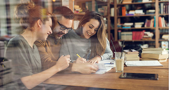 Undergraduate courses at the Institute for Northern Studies UHI 