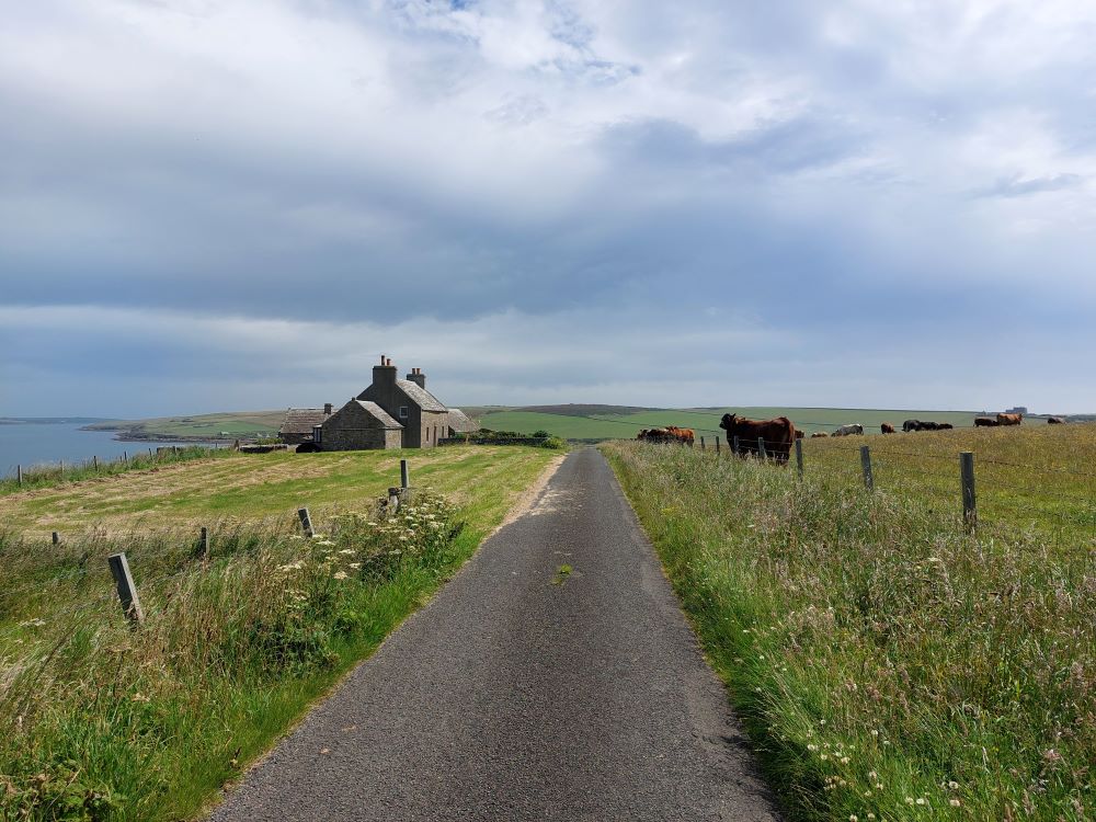 Public Series and Island Matters Online Seminars Programme Announced