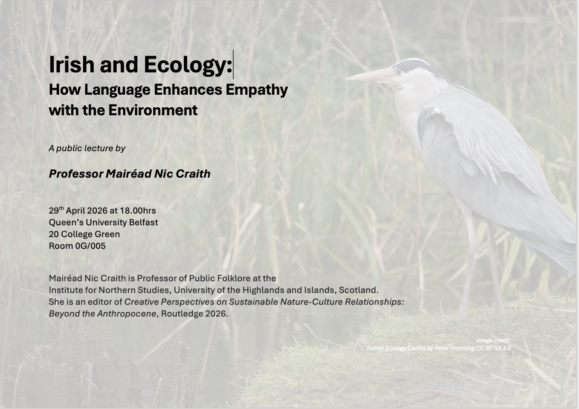 Poster of University of Belfast Annual Lecture Poster of University of Belfast Annual Lecture