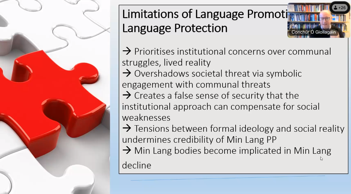 Talk on Minority Language Protection