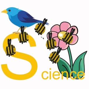 The word science, a bird and a flower