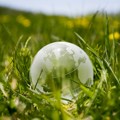Glass globe in grass