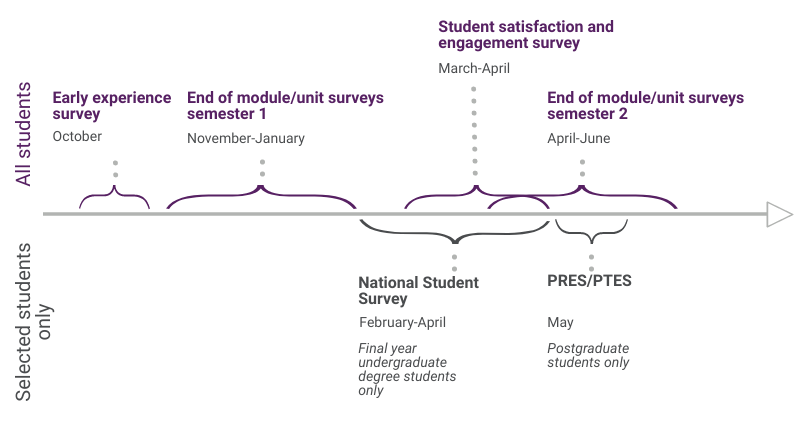 Student surveys timeline
