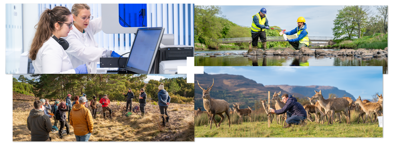 Two people using research equipment | Two people taking a water sample from a river | Group of people standing in peatland | Person in a field with herd or deer Two people using research equipment | Two people taking a water sample from a river | Group of people standing in peatland | Person in a field with herd or deer