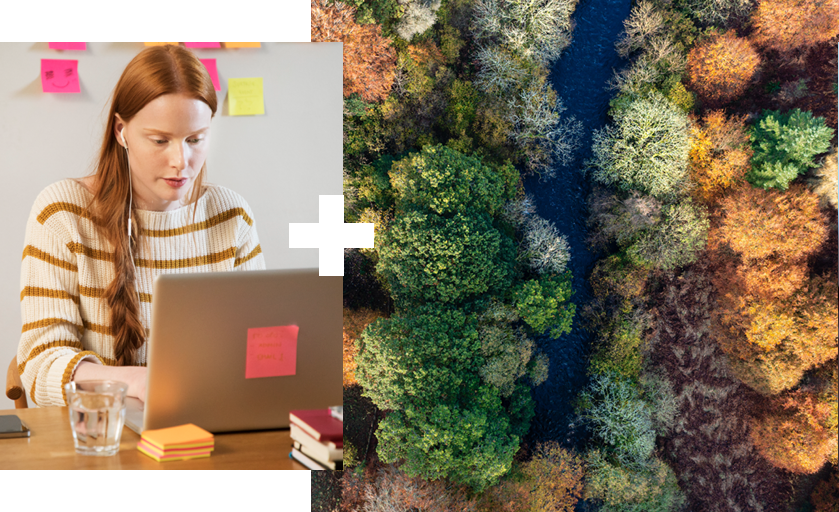 Collage of a student at a computer and an aerial image of trees