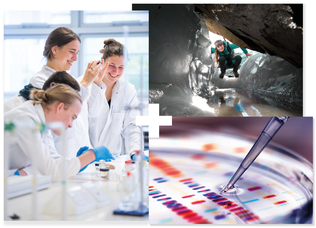 Collage of 3 | Students working in a laboratory | Student in a glacier | Close-up of a petri dish